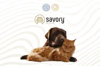 Black Sea Hotel & Restaurant оголошує партнерство з Savory та розширює pet-friendly сервіс для гостей із тваринами