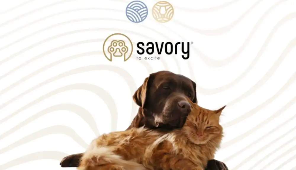 Black Sea Hotel & Restaurant оголошує партнерство з Savory та розширює pet-friendly сервіс для гостей із тваринами